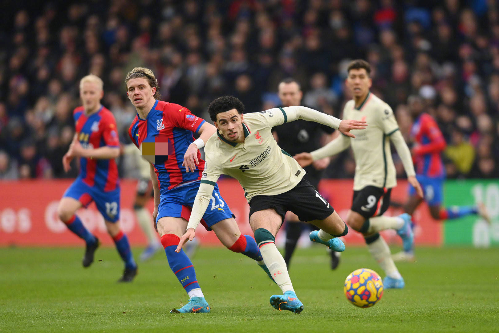 许多知名运 许多知名运