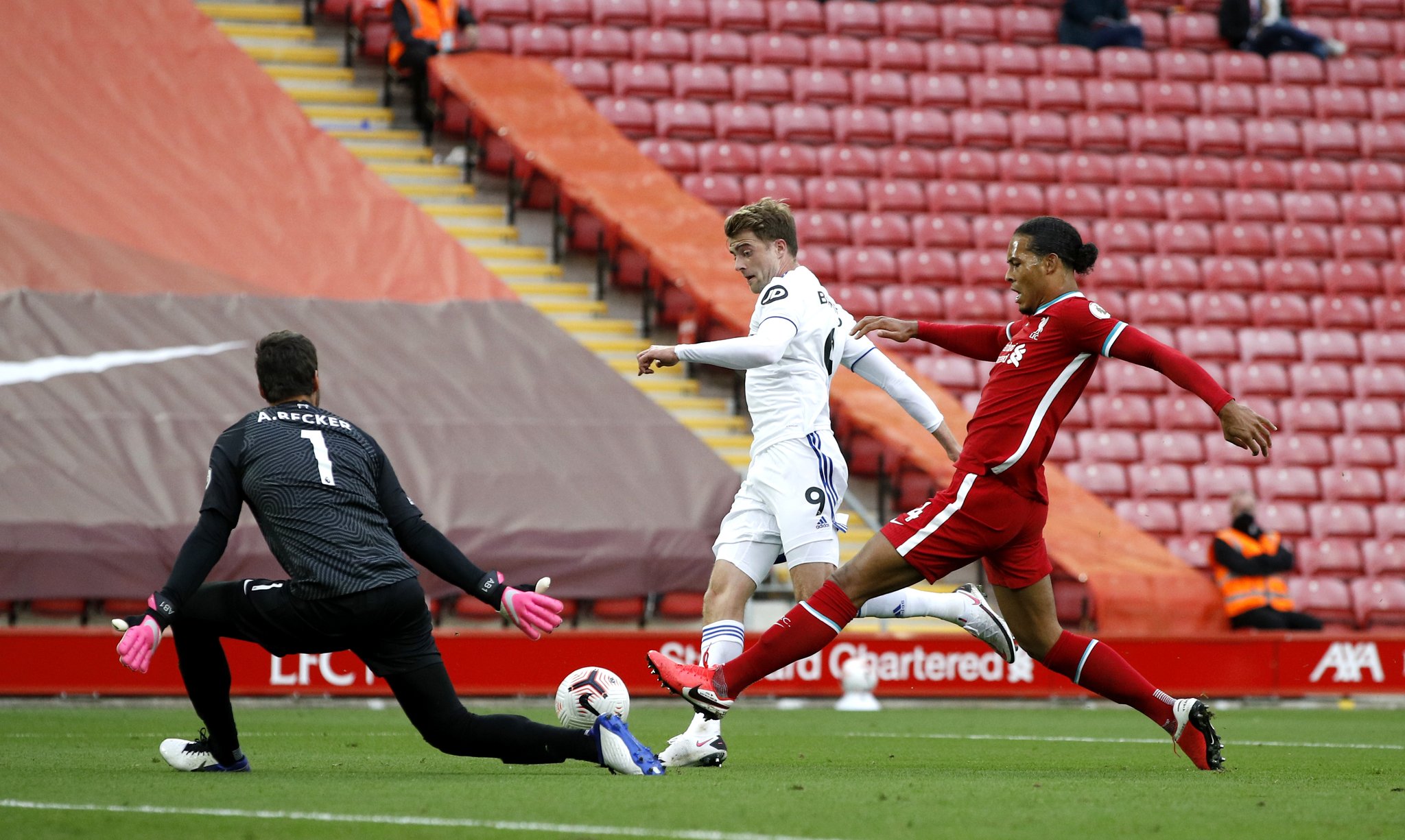 大放异彩 大放异彩